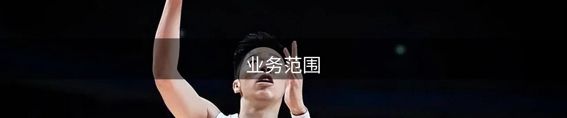 业务范围